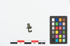 Foto von Bronzeknopf (NHMW-PRAE-026687)